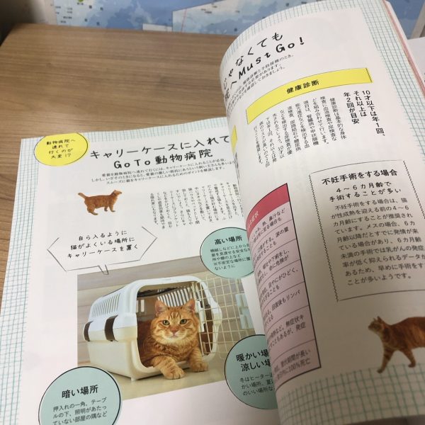 ねこのきもち】毎月届くベネッセの猫情報雑誌 - 福袋ギルド